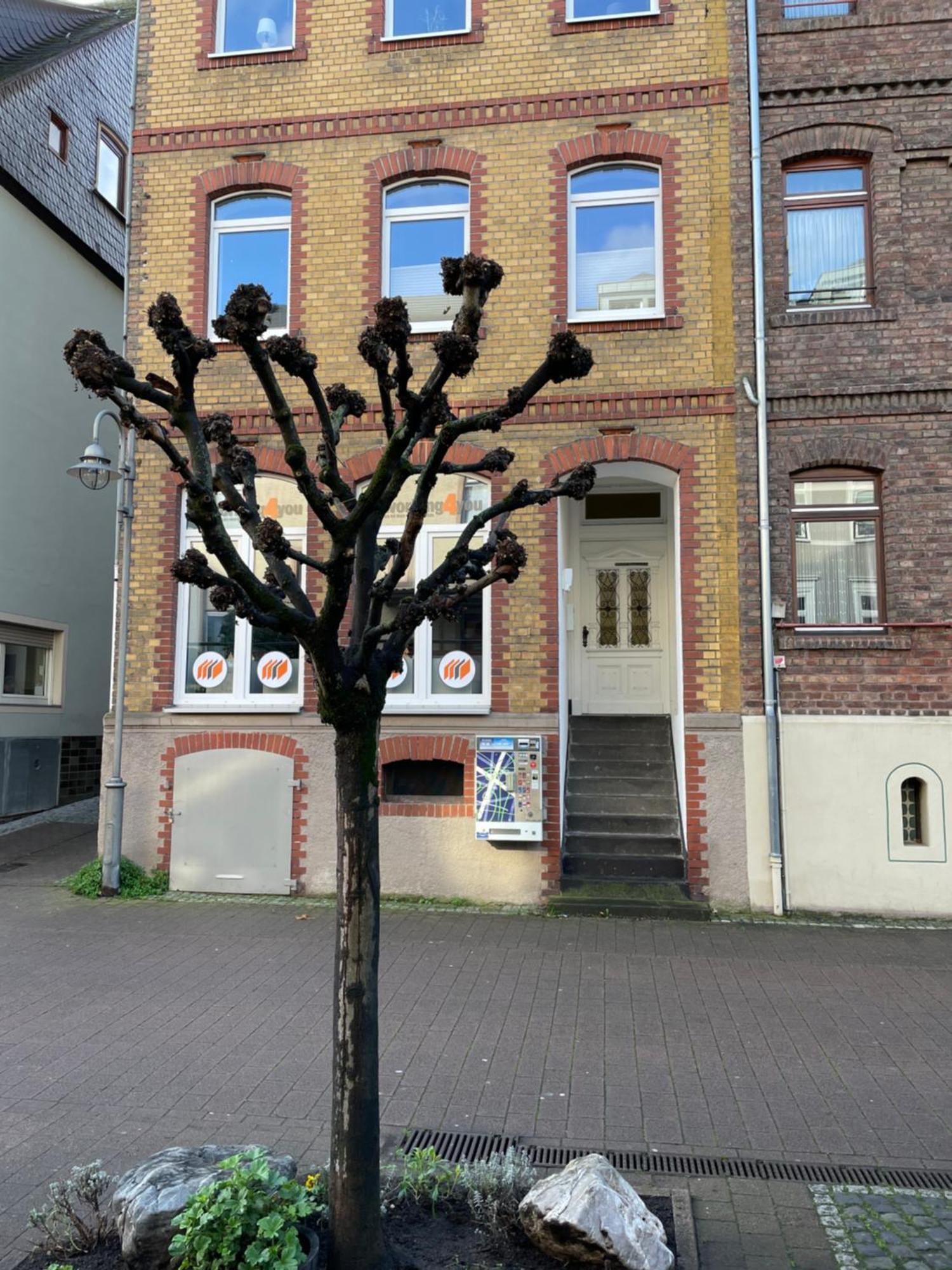 Good Times In St. Goar Apartment Sankt Goar Ngoại thất bức ảnh